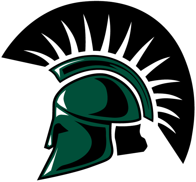 USC Upstate Spartans 2003-2008 Primary Logo iron on transfers for T-shirts